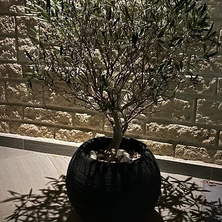 Marko's Place Apartment *