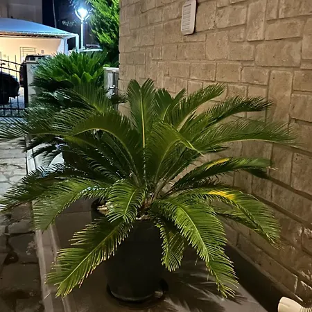 Marko's Place * Hanioti