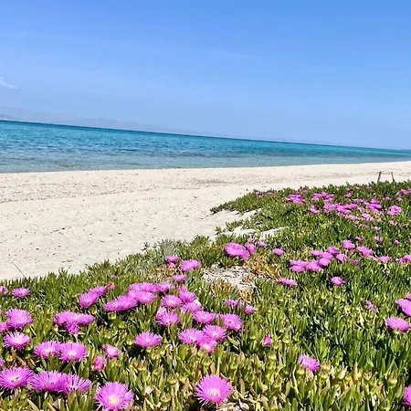 Marko's Place * Hanioti